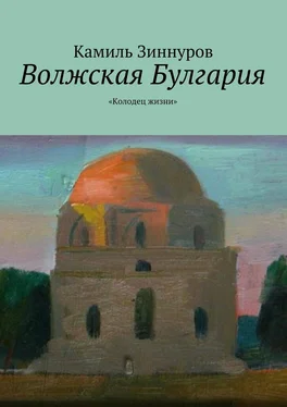 Камиль Зиннуров Волжская Булгария. «Колодец жизни» обложка книги