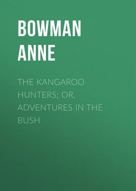 Anne Bowman The Kangaroo Hunters; Or, Adventures in the Bush обложка книги