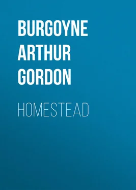 Arthur Burgoyne Homestead обложка книги