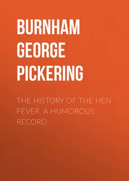 George Burnham The History of the Hen Fever. A Humorous Record обложка книги