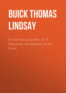 Thomas Buick An Old New Zealander; or, Te Rauparaha, the Napoleon of the South. обложка книги