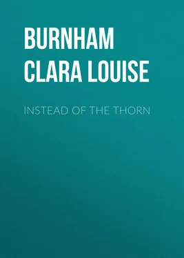 Clara Burnham Instead of the Thorn обложка книги