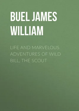James Buel Life and marvelous adventures of Wild Bill, the Scout обложка книги