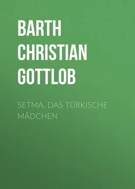 Christian Barth Setma, das türkische Mädchen обложка книги