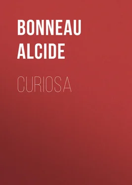 Alcide Bonneau Curiosa обложка книги