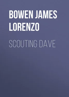 James Bowen Scouting Dave обложка книги