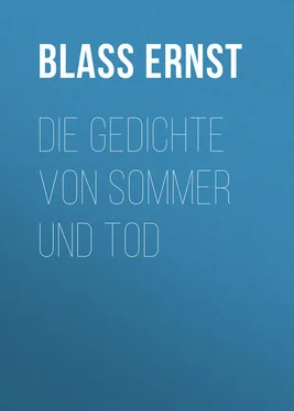 Ernst Blass Die Gedichte von Sommer und Tod обложка книги