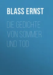 Ernst Blass - Die Gedichte von Sommer und Tod