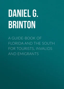 Daniel Brinton A Guide-Book of Florida and the South for Tourists, Invalids and Emigrants обложка книги