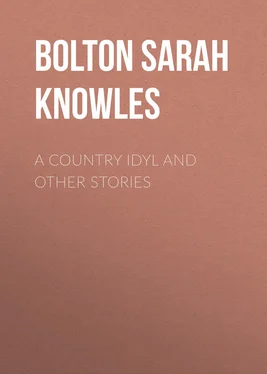 Sarah Bolton A Country Idyl and Other Stories обложка книги