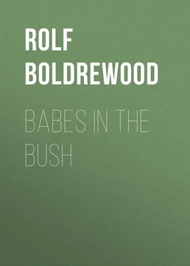 Rolf Boldrewood Babes in the Bush обложка книги
