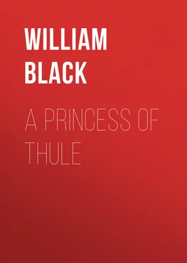 William Black A Princess of Thule обложка книги