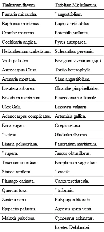 These in addition have been noted in Finistère These also in the - фото 3