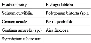 CôtesduNord has the advantage of the limestone bed of S Juvat where many of - фото 5
