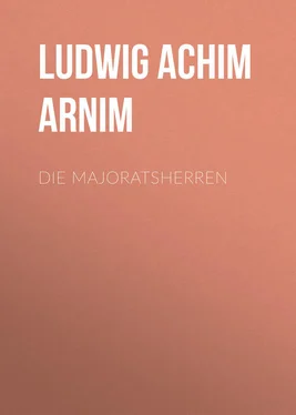 Ludwig Achim von Arnim Die Majoratsherren обложка книги