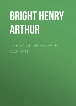 Henry Bright The English Flower Garden обложка книги