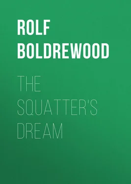Rolf Boldrewood The Squatter's Dream обложка книги