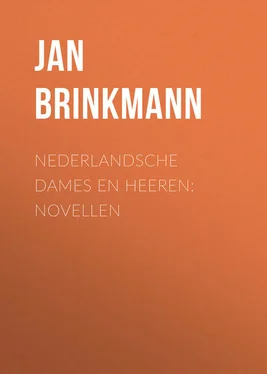 Jan ten Brink Nederlandsche dames en heeren: Novellen обложка книги