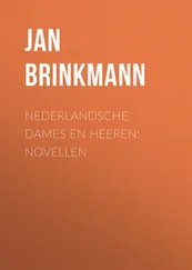 Jan ten Brink - Nederlandsche dames en heeren - Novellen