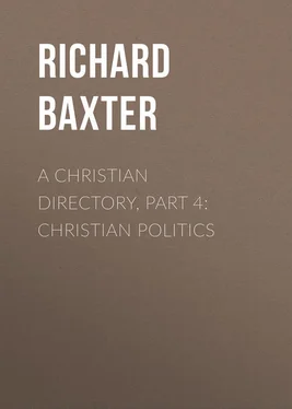 Richard Baxter A Christian Directory, Part 4: Christian Politics обложка книги