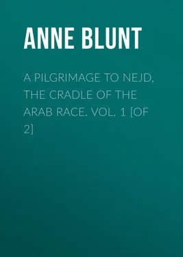 Anne Blunt A Pilgrimage to Nejd, the Cradle of the Arab Race. Vol. 1 [of 2] обложка книги