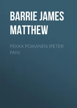 James Barrie Pekka Poikanen (Peter Pan) обложка книги