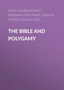 George Cannon The Bible and Polygamy обложка книги