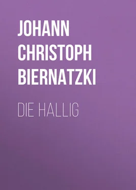 Johann Biernatzki Die Hallig обложка книги