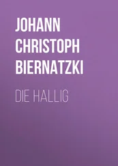 Johann Biernatzki - Die Hallig