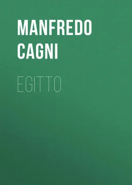 Manfredo Cagni Egitto обложка книги