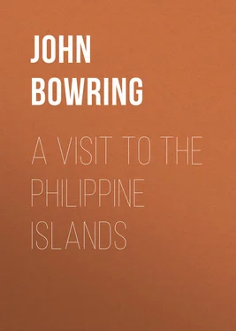 John Bowring A Visit to the Philippine Islands обложка книги