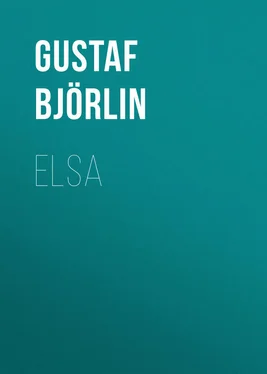 Gustaf Björlin Elsa обложка книги