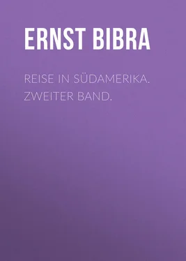 Ernst Bibra Reise in Südamerika. Zweiter Band. обложка книги