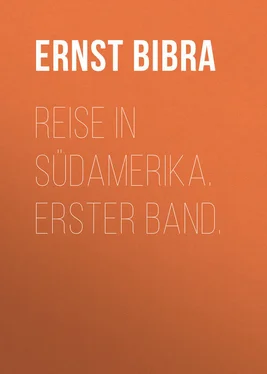 Ernst Bibra Reise in Südamerika. Erster Band. обложка книги