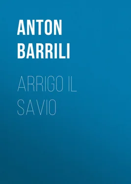 Anton Barrili Arrigo il savio обложка книги