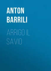 Anton Barrili - Arrigo il savio