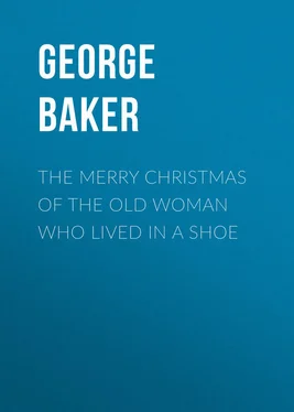 George Baker The Merry Christmas of the Old Woman who Lived in a Shoe обложка книги