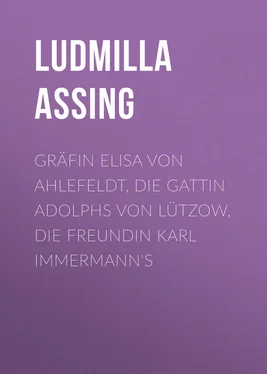 Ludmilla Assing Gräfin Elisa von Ahlefeldt, die Gattin Adolphs von Lützow, die Freundin Karl Immermann's обложка книги