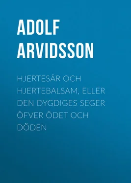 Adolf Arvidsson Hjertesår och Hjertebalsam, eller Den dygdiges Seger öfver Ödet och Döden обложка книги