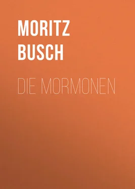 Moritz Busch Die Mormonen обложка книги