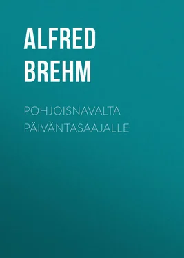 Alfred Brehm Pohjoisnavalta päiväntasaajalle обложка книги