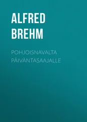 Alfred Brehm - Pohjoisnavalta päiväntasaajalle