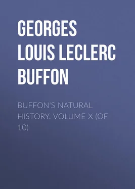 Georges Buffon Buffon's Natural History. Volume X (of 10) обложка книги