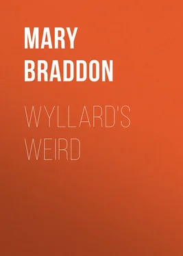 Mary Braddon Wyllard's Weird обложка книги