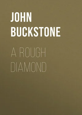 John Buckstone A Rough Diamond обложка книги