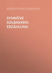 Bjørnstjerne Bjørnson - Synnöve Solbakken - Erzählung