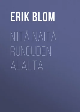 Erik Blom Niitä näitä runouden alalta обложка книги