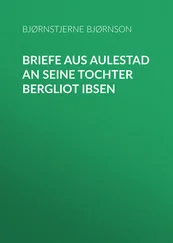 Bjørnstjerne Bjørnson - Briefe aus Aulestad an seine Tochter Bergliot Ibsen