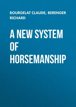 Richard Berenger A New System of Horsemanship обложка книги