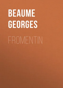 Georges Beaume Fromentin обложка книги